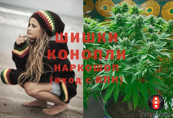 дмт Алзамай