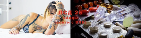 ПСИЛОЦИБИНОВЫЕ ГРИБЫ Алексин