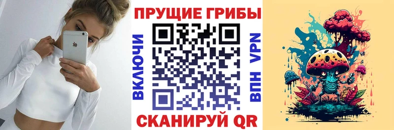 Псилоцибиновые грибы Cubensis  где купить наркоту  Нелидово 