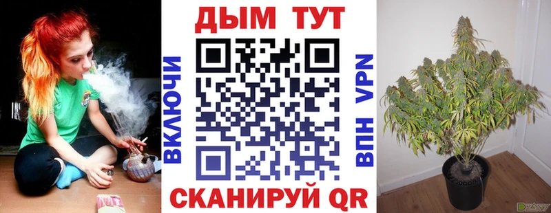 Канабис SATIVA & INDICA купить цена Нелидово